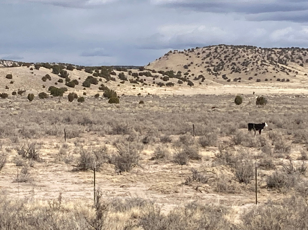 斯普林维尔罗德旅馆主图