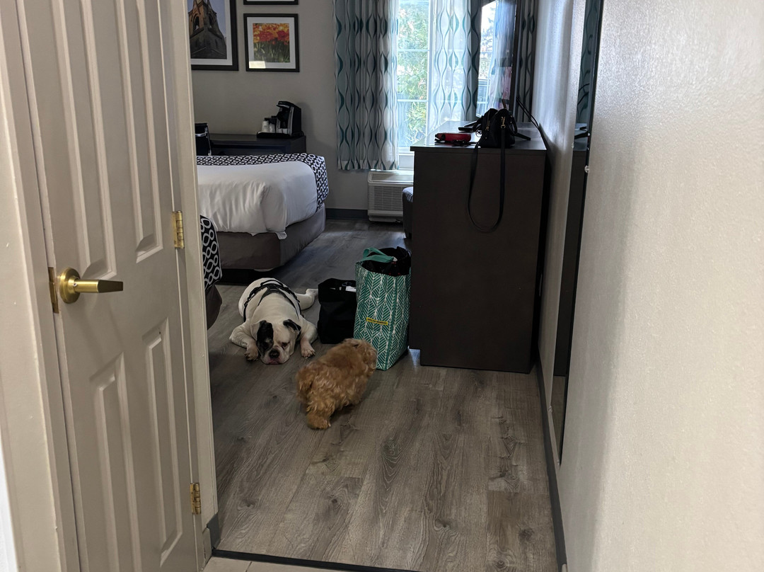 La Quinta Inn & Suites by Wyndham Latham Albany Airport主图