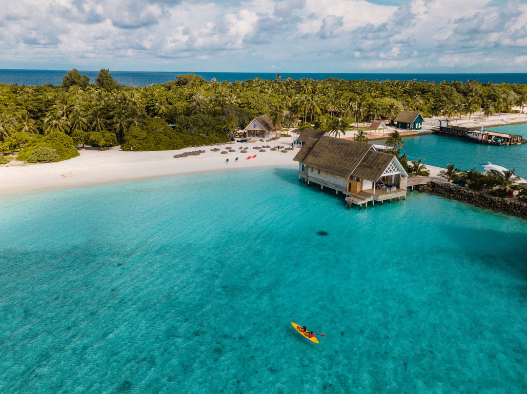 Blue Wave Ifuru By Dive Butler At Ifuru Island Maldives