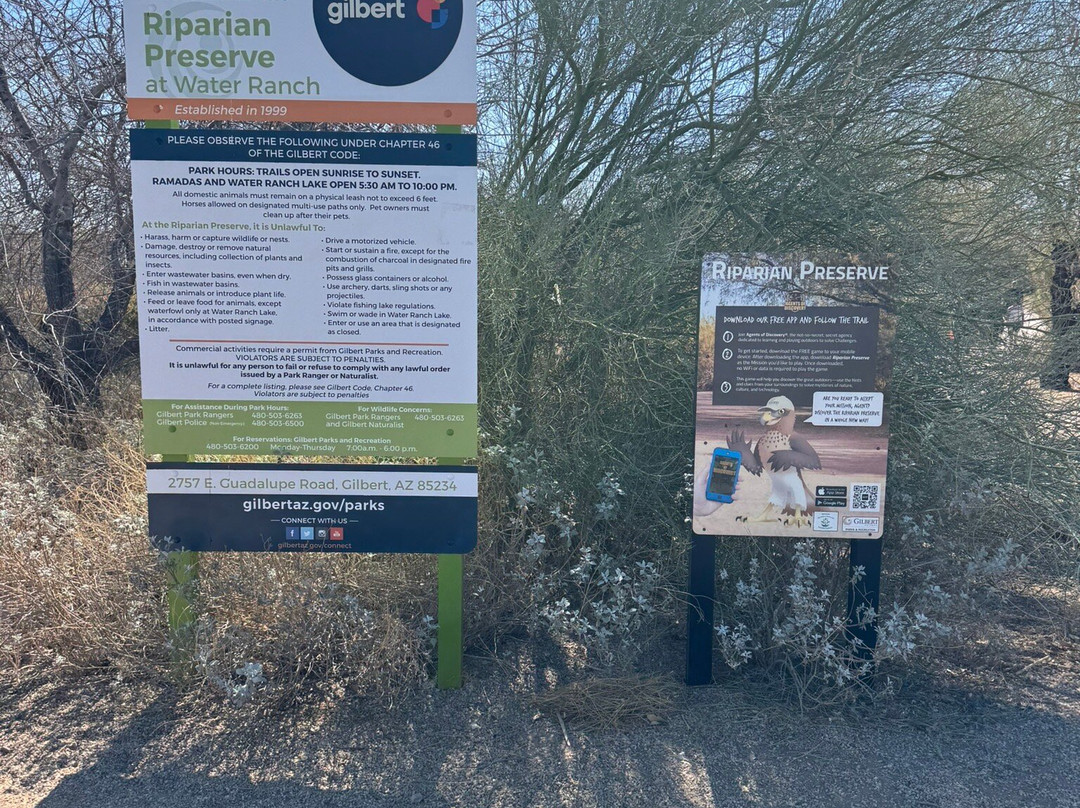 Riparian Preserve at Water Ranch-吉尔伯特必去景点