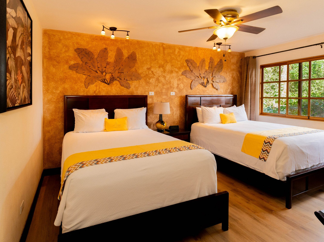 Buena Vista Chic Hotel主图