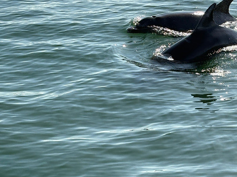 TB Tours-瓦拉塔港必去景点