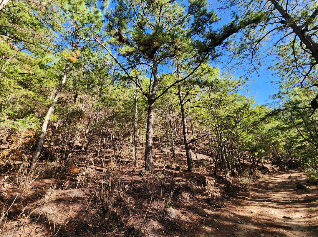 Lang Biang Trail-大勒必去景点