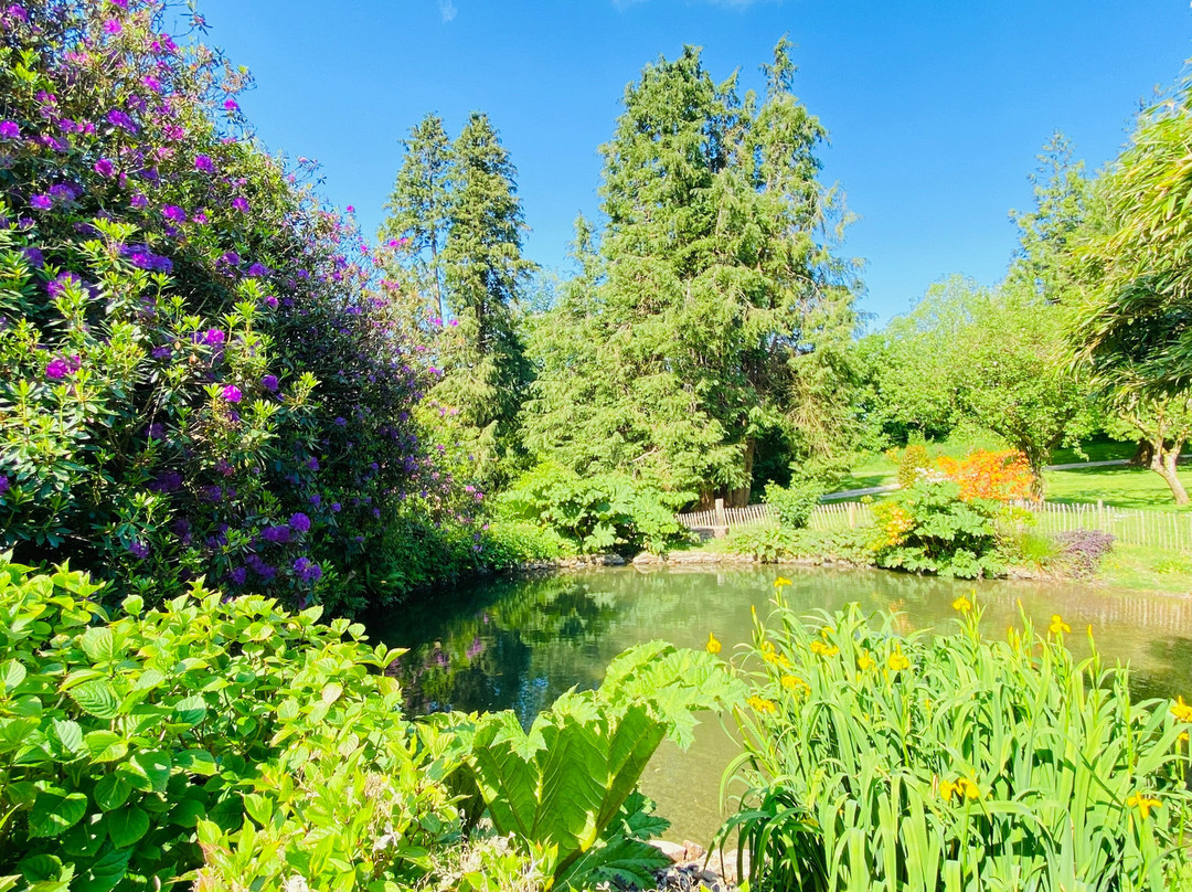 East Down酒店住宿-Beachborough Country House