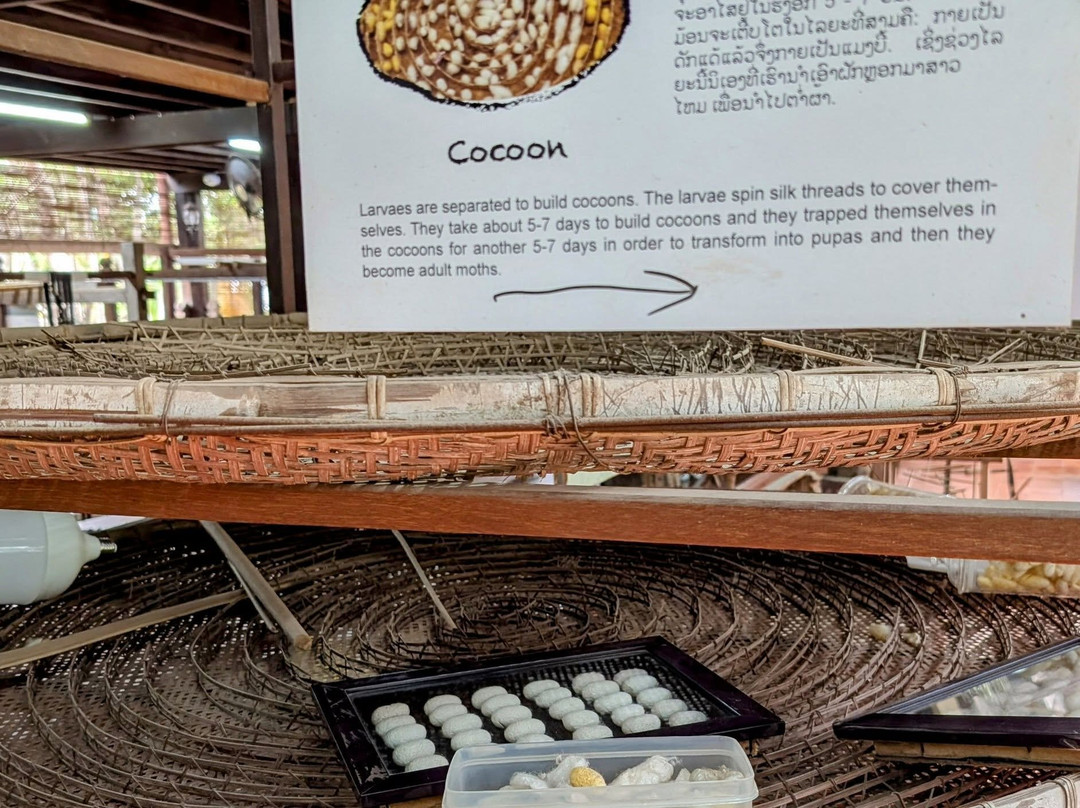 Lao Textile Museum-万象必去景点