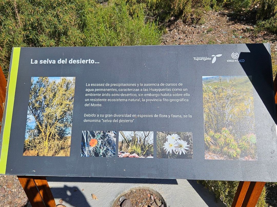 Cristo Rey del Valle-Tupungato必去景点