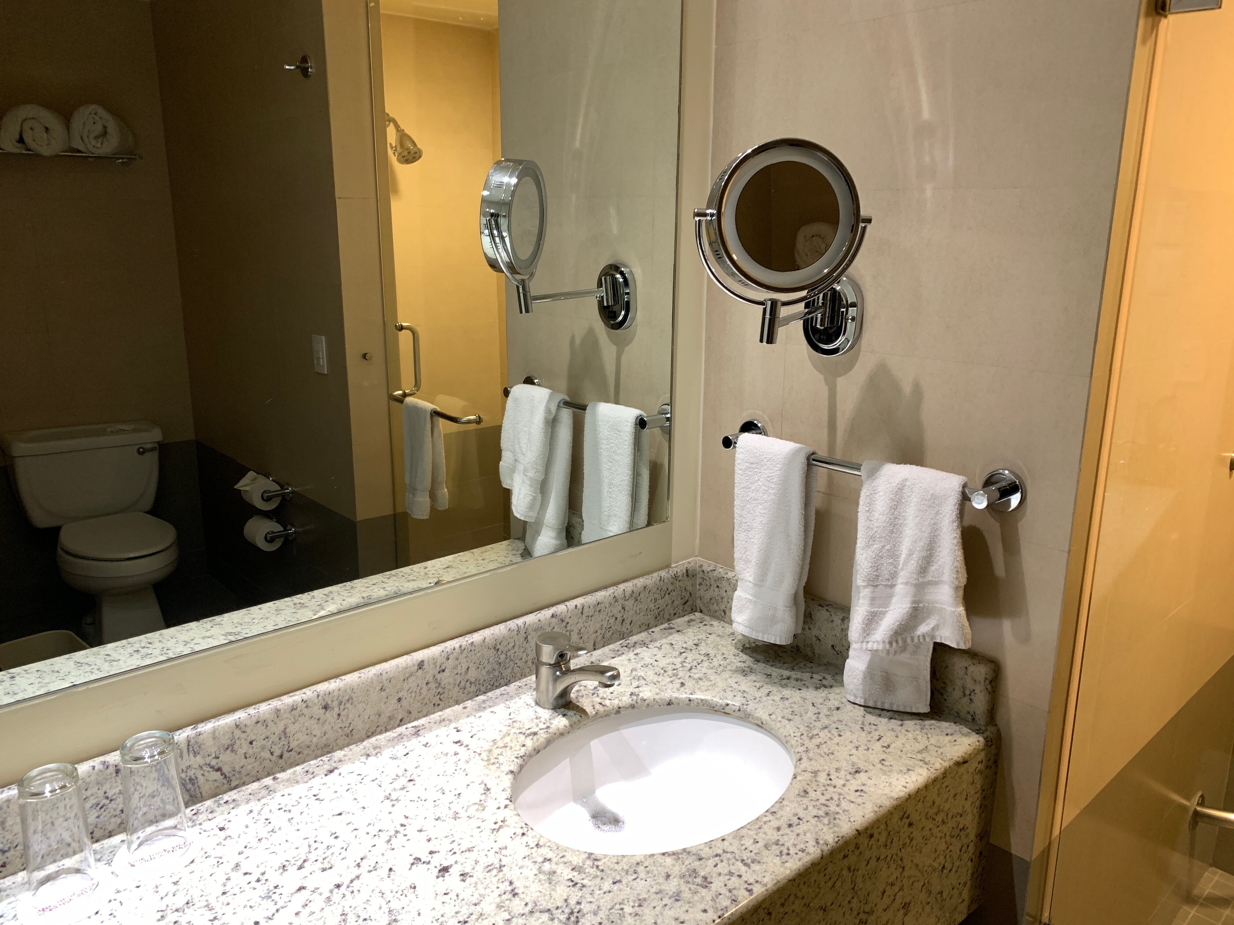 Crowne Plaza Leon, an IHG hotel-浴室