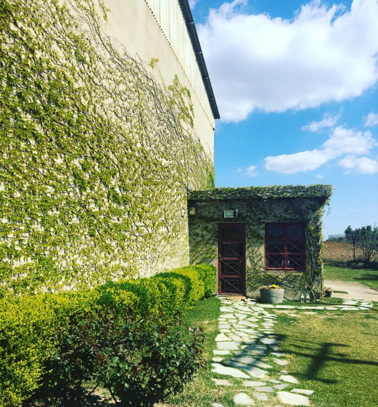 Domaine Kikones景点图片