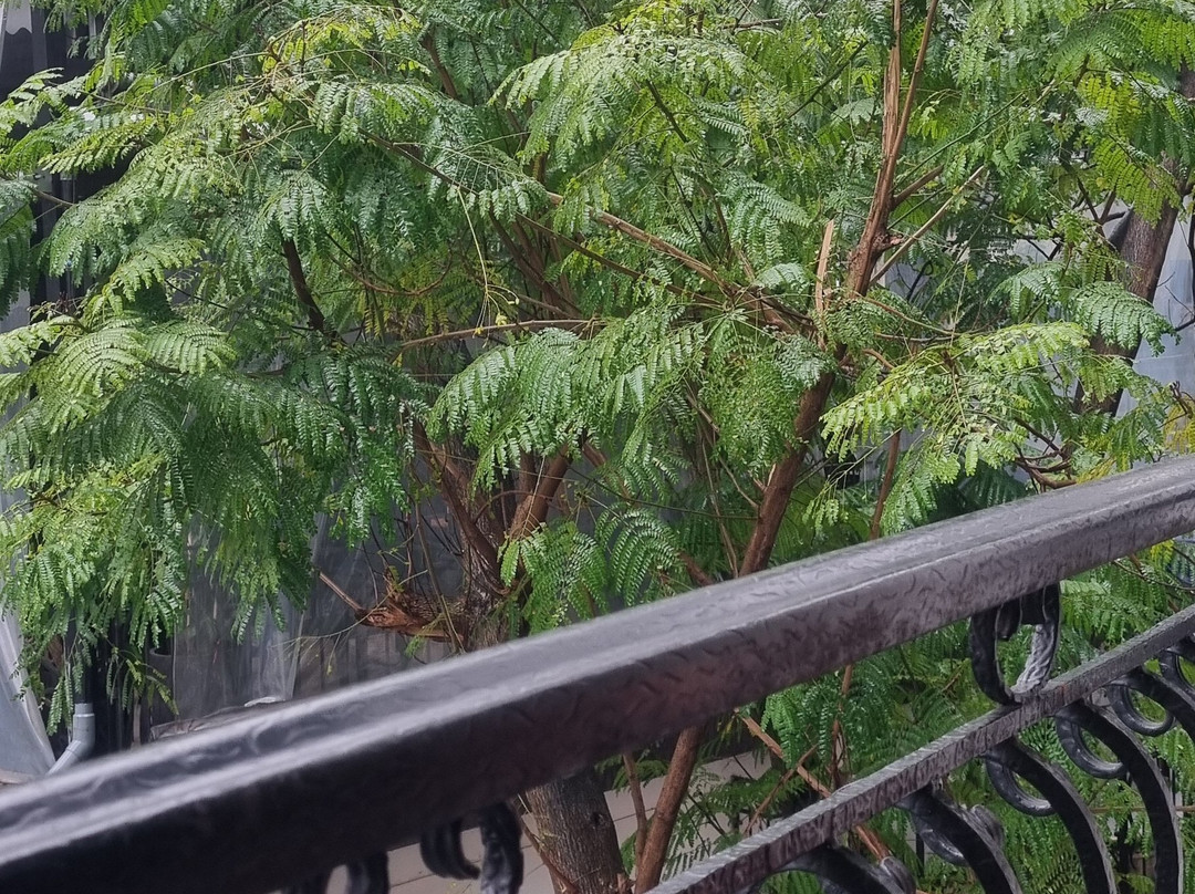 Hanoi Transport Service-河内必去景点