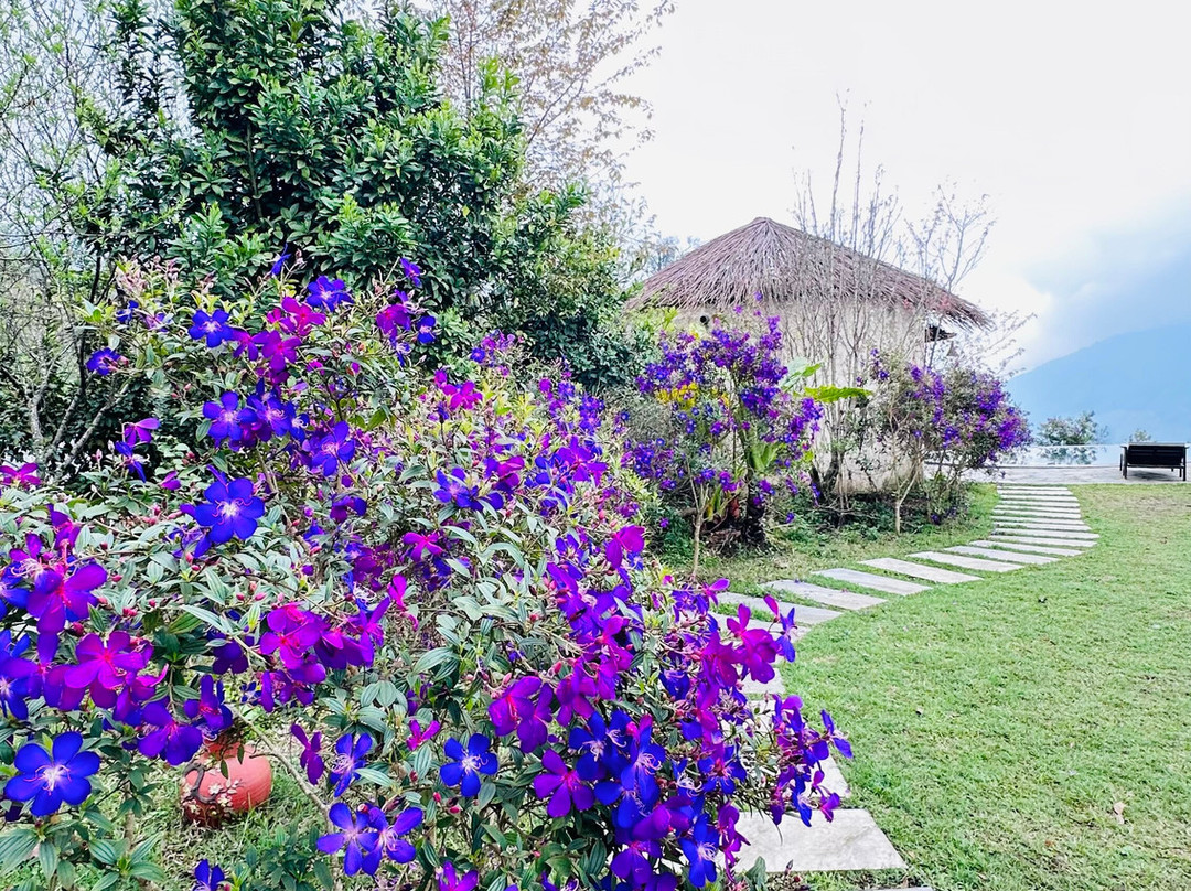 Sapa Farmstay主图