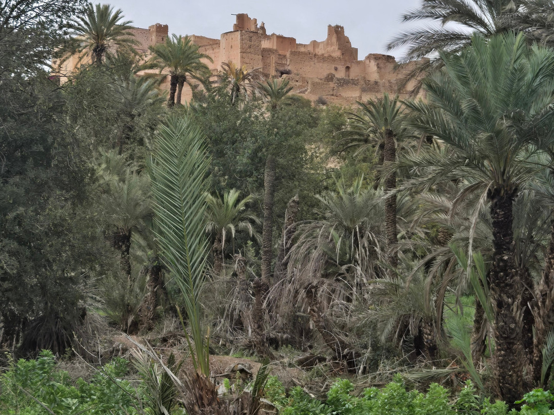 Oasis de Tiout主图