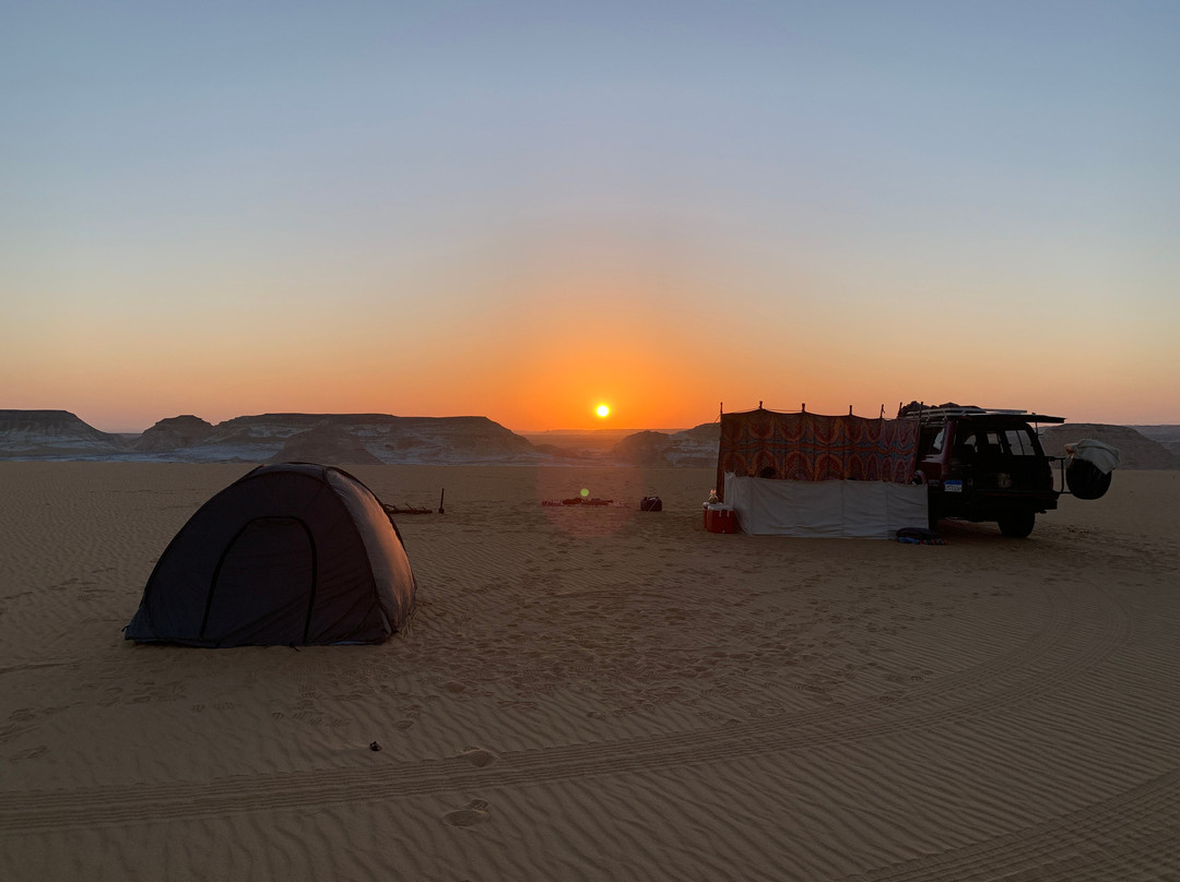 Bahariya Oasis Guide-Bawiti必去景点