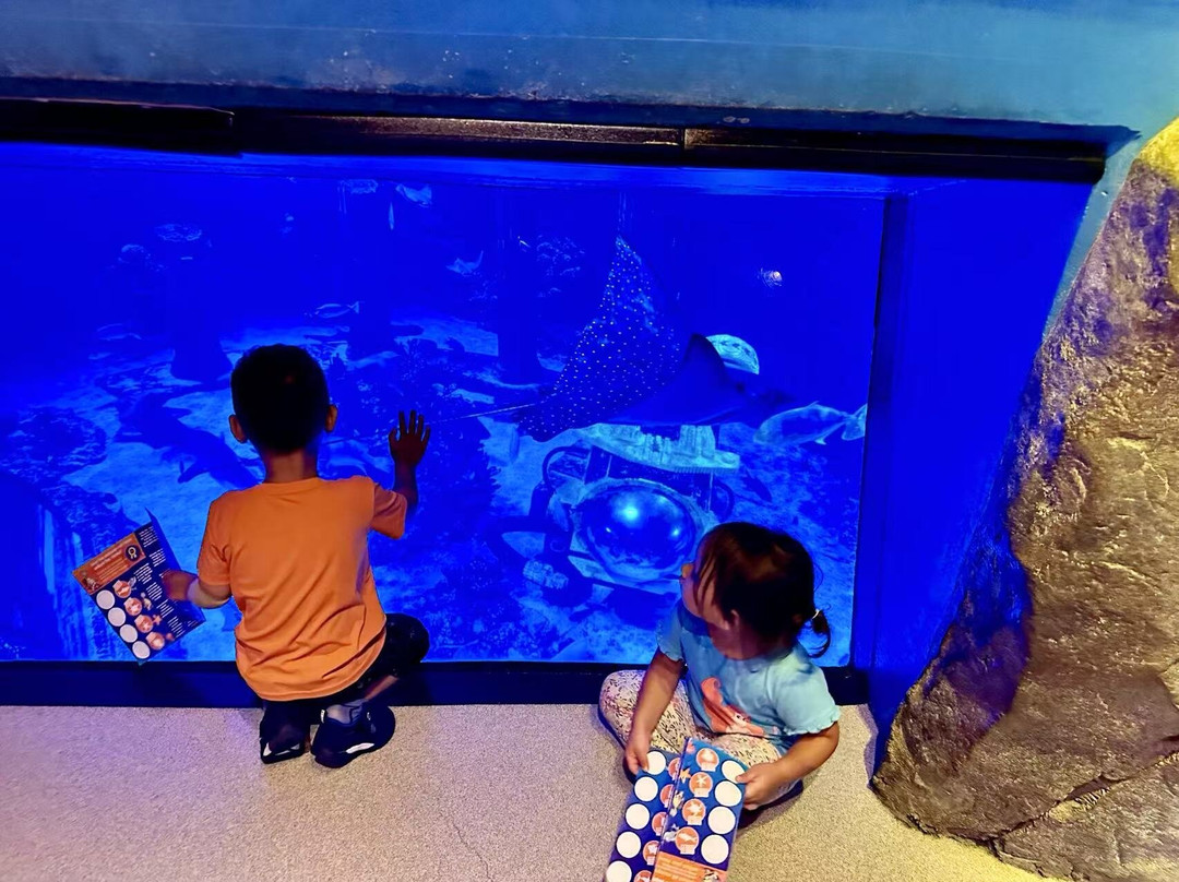 SEA LIFE Aquarium-卡尔斯巴德必去景点