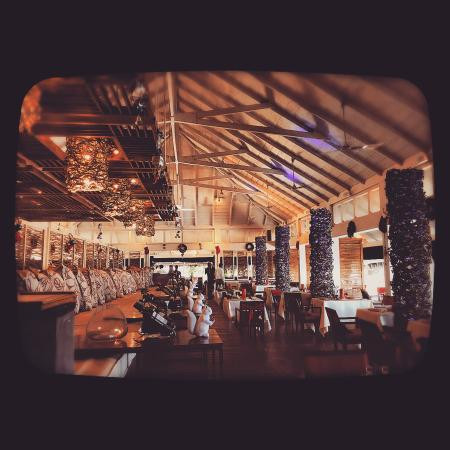 泰姬珊瑚礁度假村主图