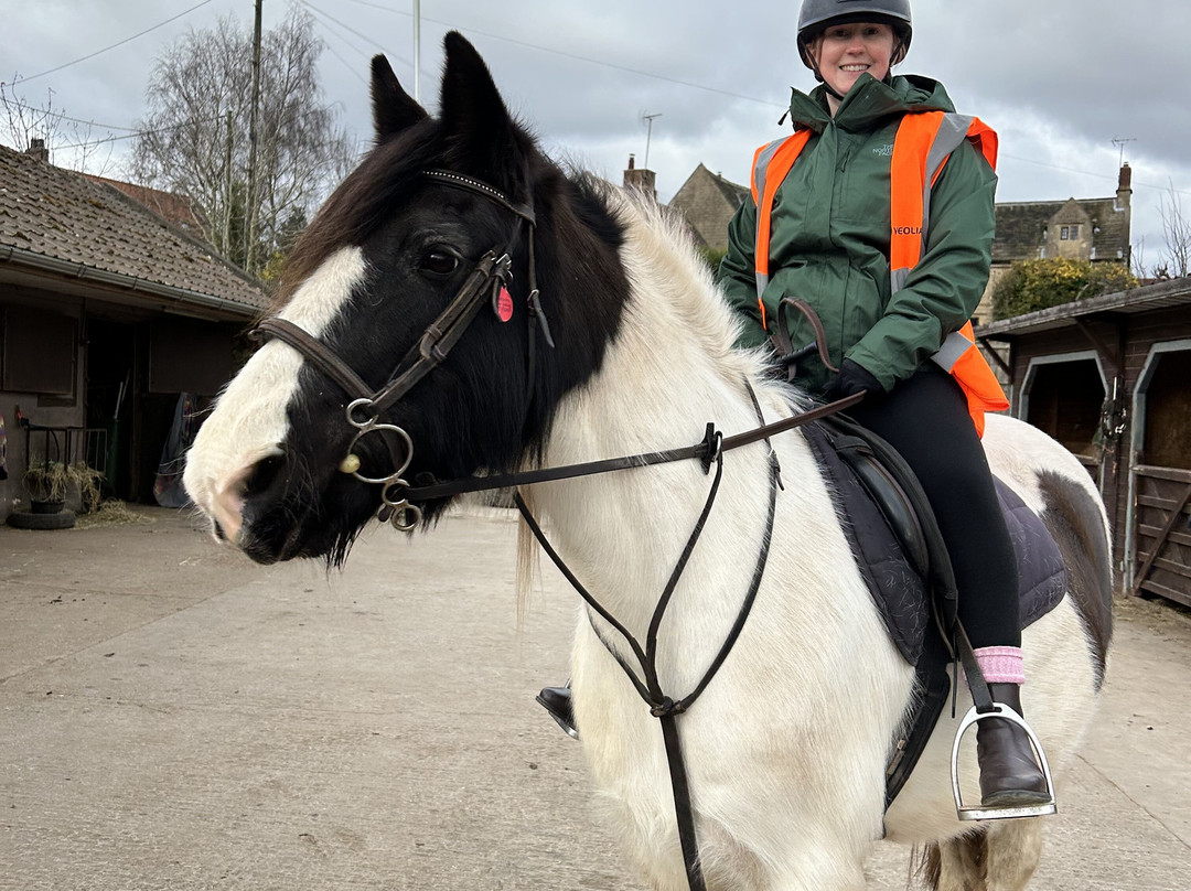 Derbyshire Pony Trekking-Mansfield必去景点
