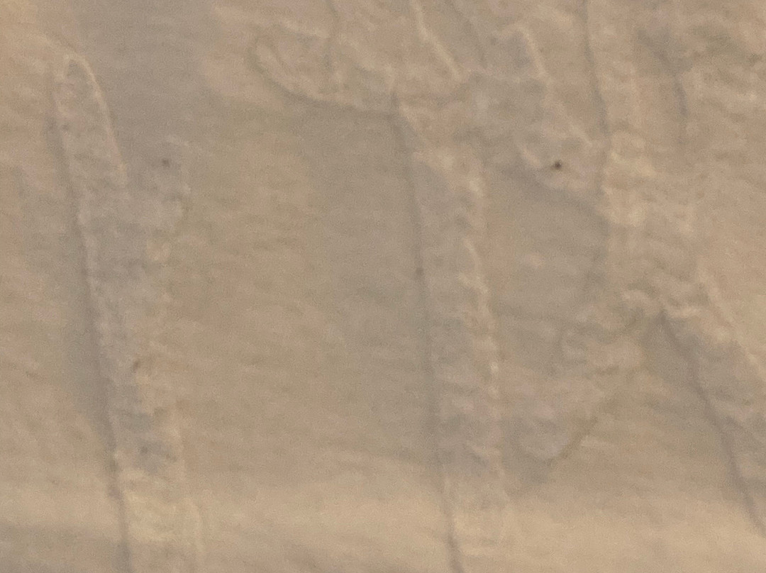 萨拉托加斯普林斯希尔顿花园酒店主图