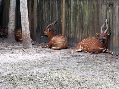 Passin Miami-迈阿密海滩必去景点
