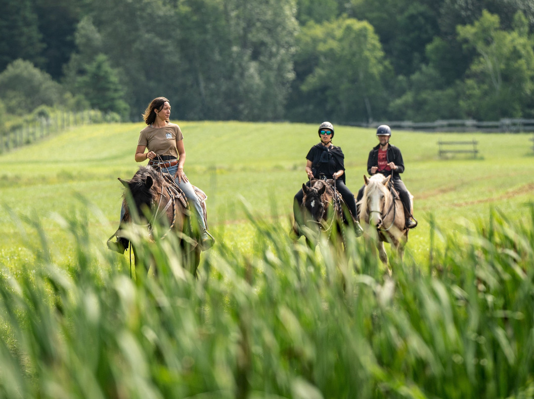 Les Montagnards de Charlevoix-Baie-St-Paul必去景点