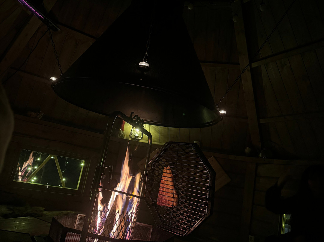 Wild Blueberry-罗瓦涅米必去景点