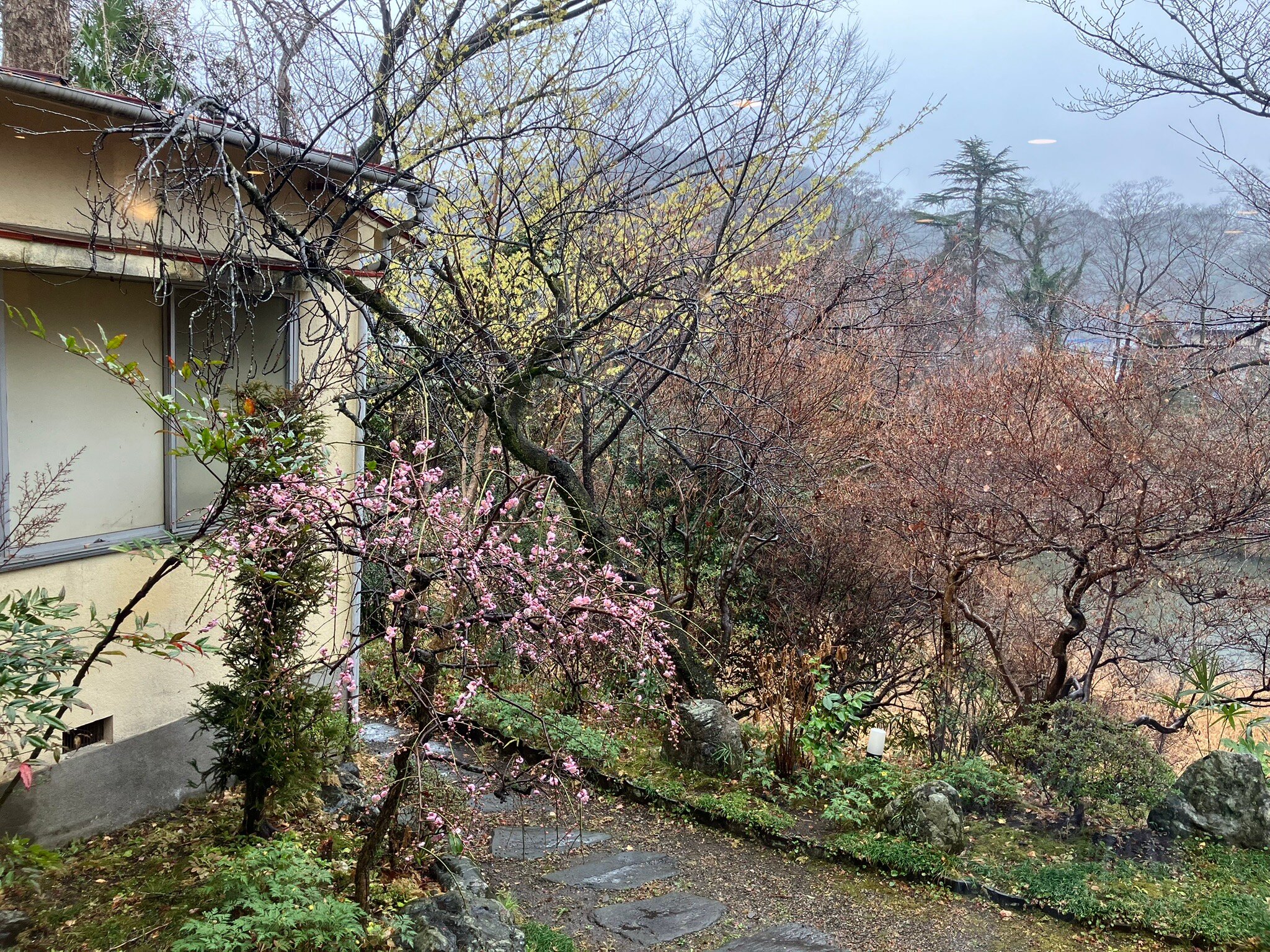 Shinsuikan-官方
