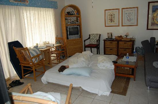 琪琪的天堂主图