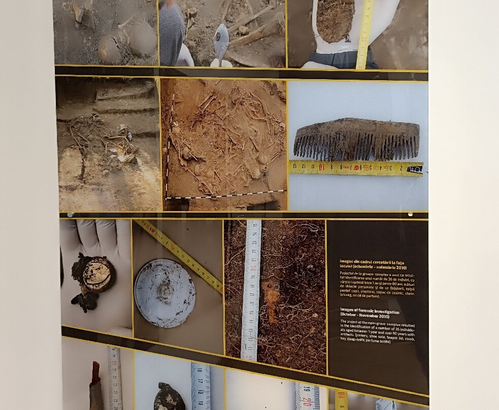 Casa Muzeelor-雅西必去景点