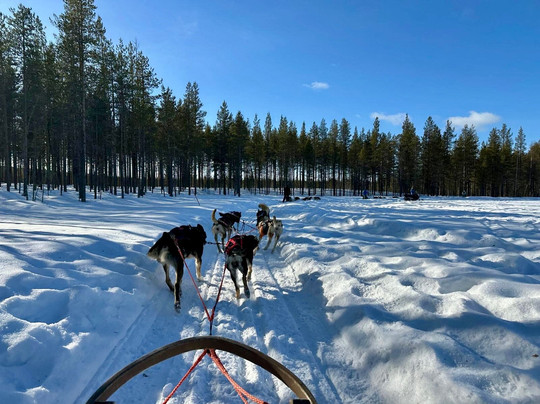 Polarlichtexpress-Kittilä必去景点