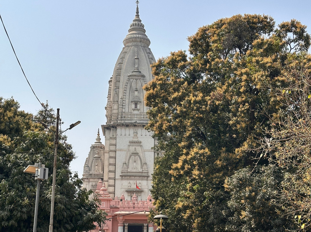 New Vishwanath Temple景点图片