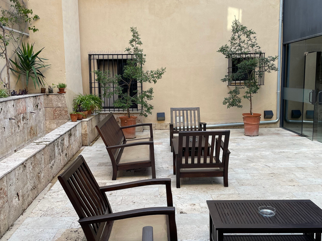 蒙西巴尔宫酒店主图