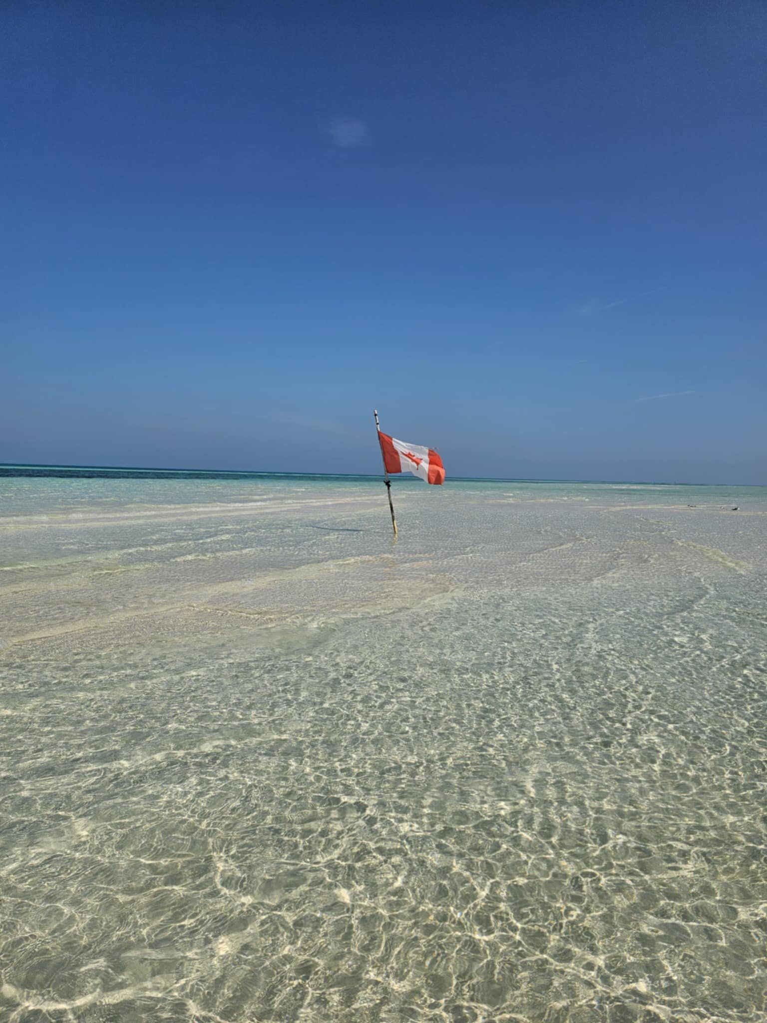 Hotel Playa Coco-泳池