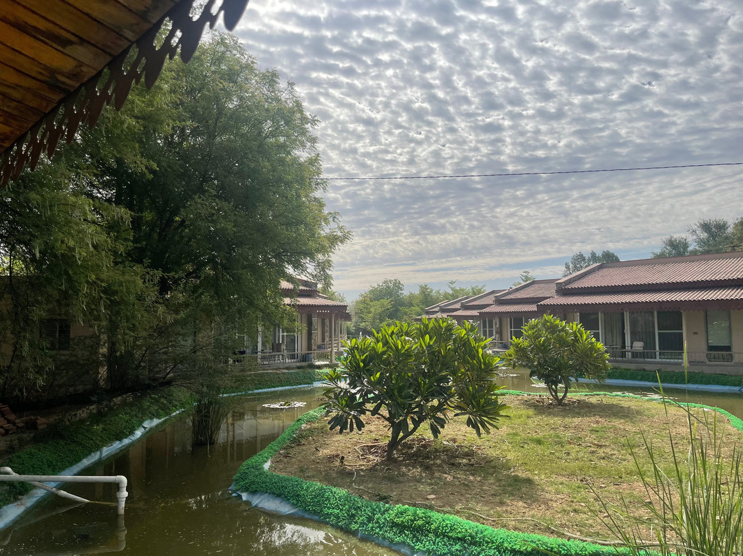 Brij Bageecha Jaipur - Private Villas With Plunge Pool主图