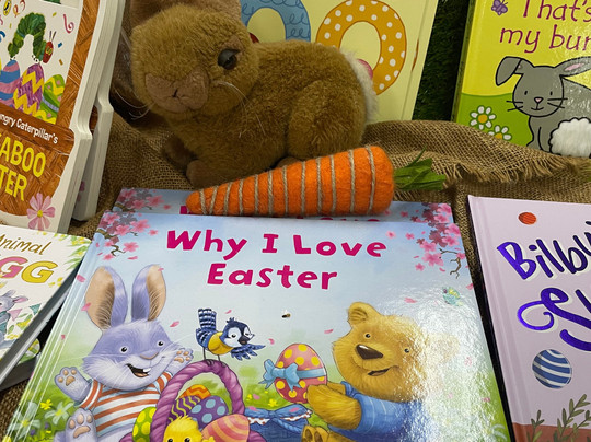 The Book Shop Darwin-达尔文市必去景点