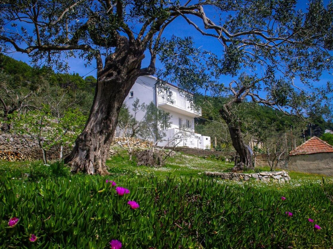 Apartments Frano Ropa