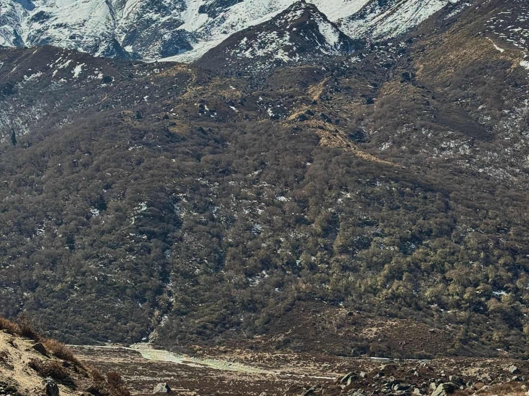 Time to Nepal Treks and Tours Pvt Ltd-加德满都必去景点