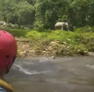 Best Rafting 4U-Wichit必去景点