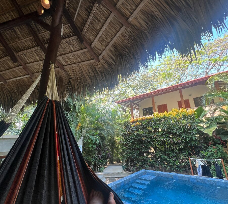 Shaka Costa Rica主图