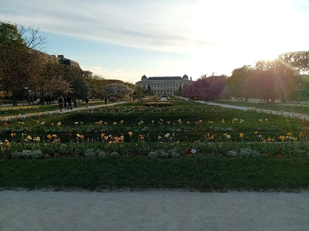 Le Jardin des Plantes