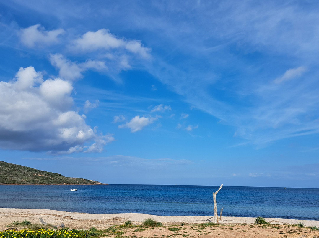 Plage de Balistra景点图片