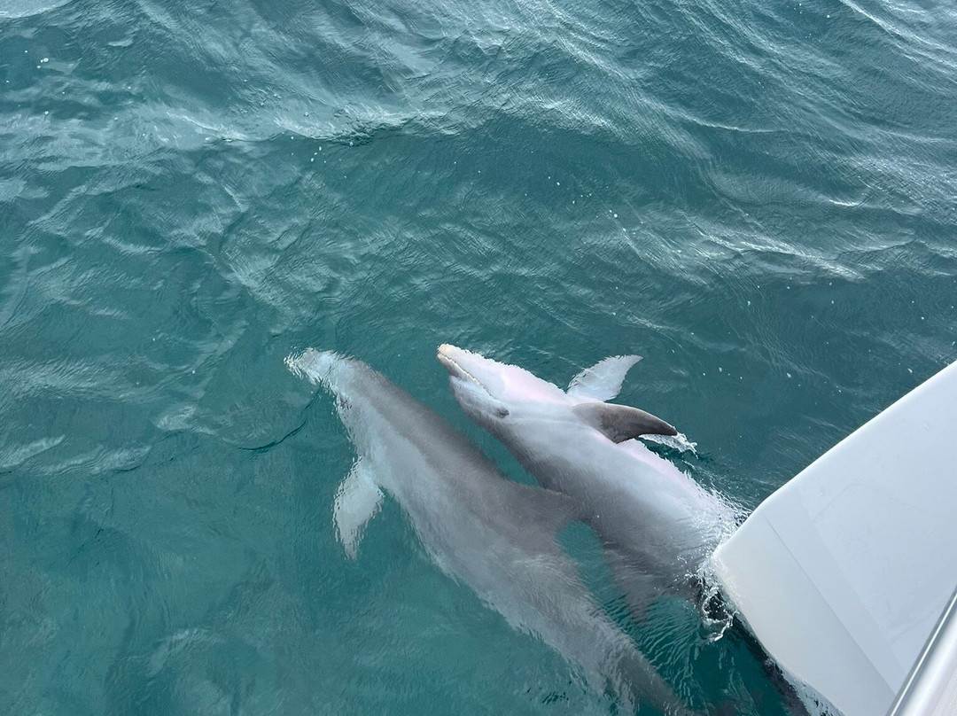 Ti Prens-Saint Francois必去景点