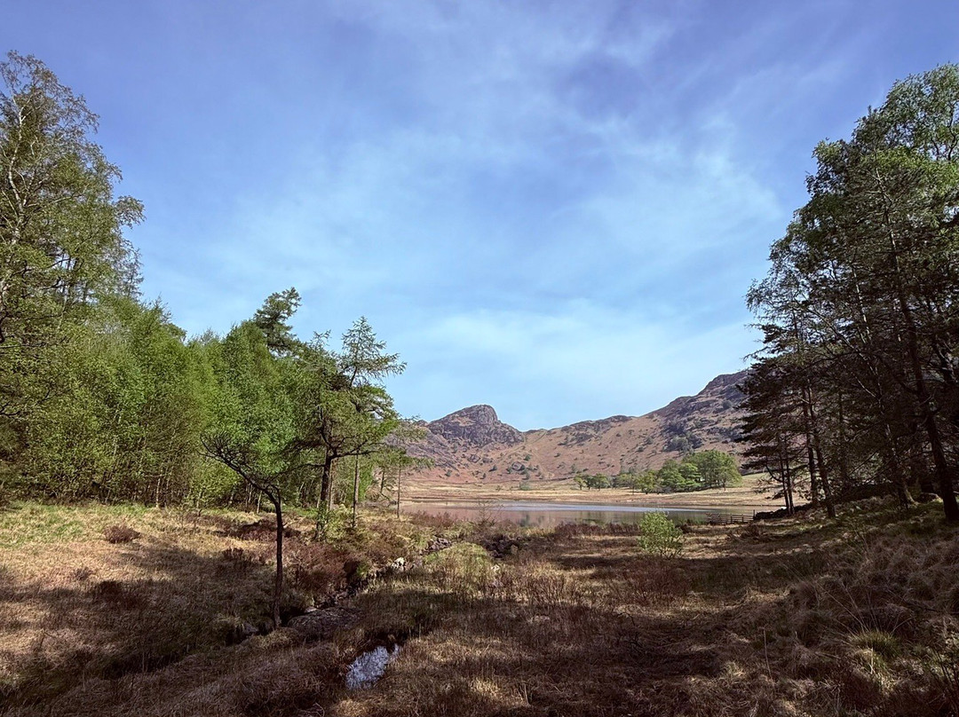Blea Tarn-Little Langdale必去景点