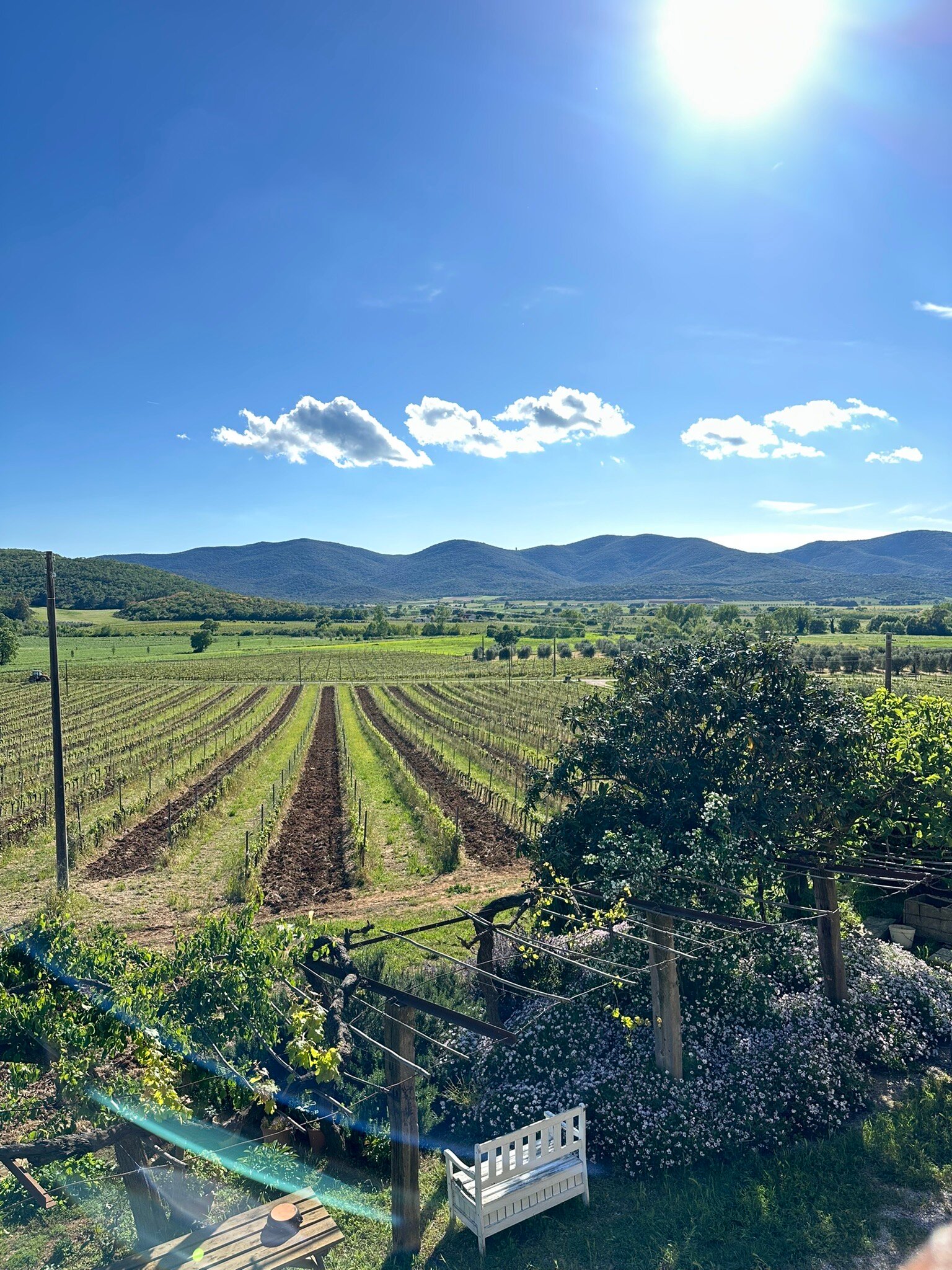 Poggiolivi Agriturismo Bio In Maremma-官方
