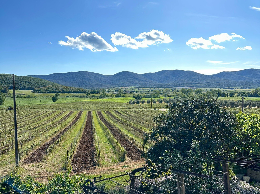 Poggiolivi Agriturismo Bio In Maremma主图