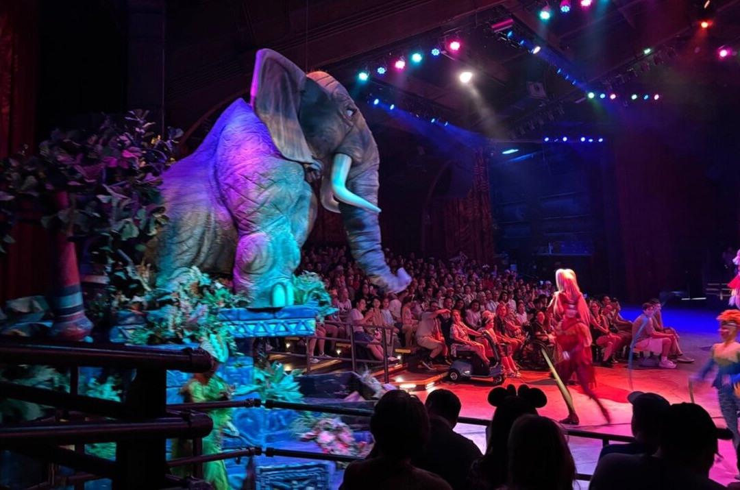 Festival of the Lion King-奥兰多必去景点