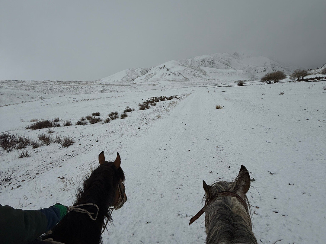Kyrgyz Nature Travel Company景点图片