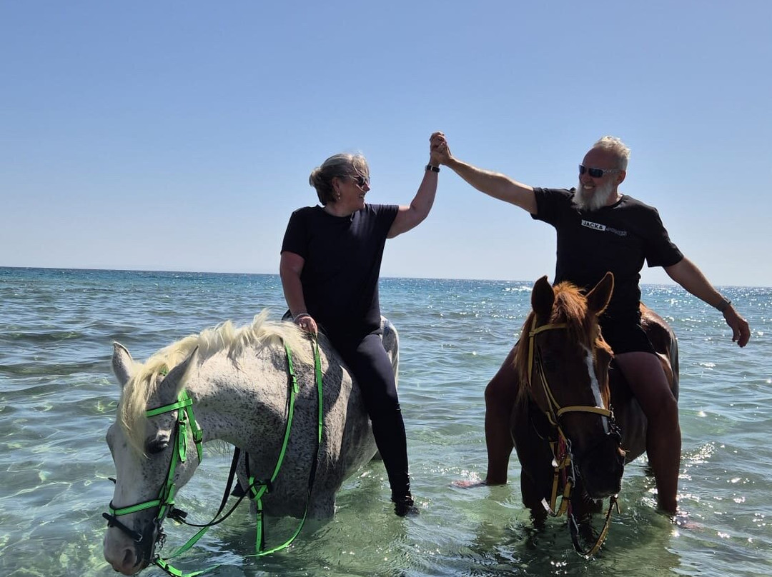 Horse Riding Hurghada-赫尔格达必去景点