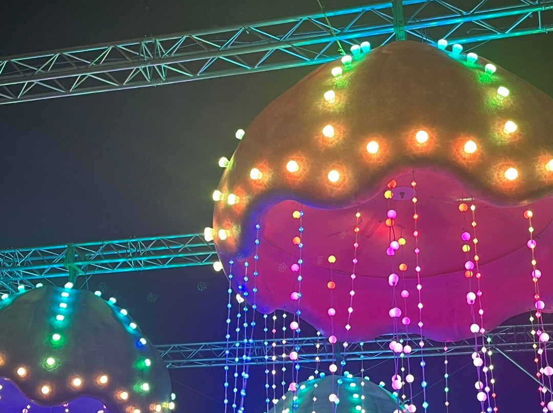 Blackpool Illuminations-黑潭必去景点