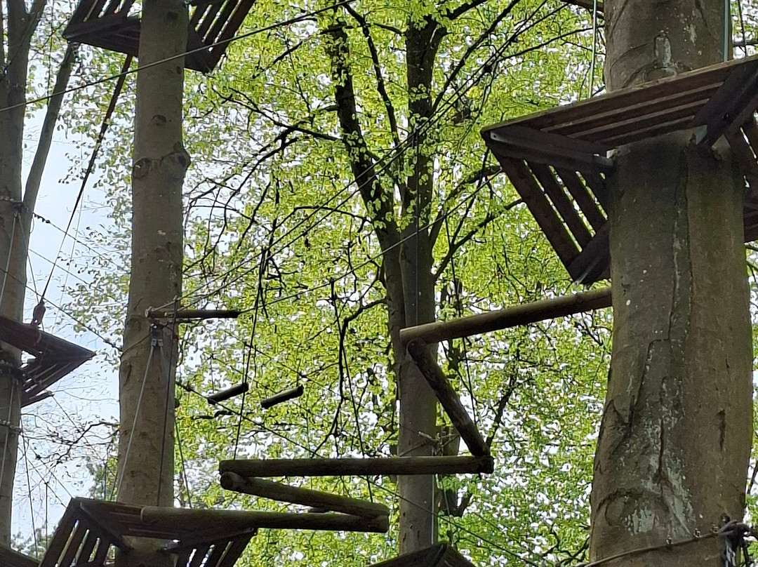 Freizeitpark Betzenstein-Betzenstein必去景点