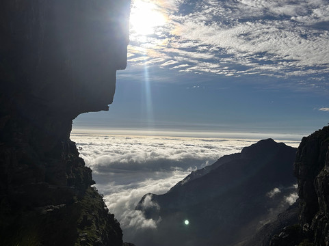 Ruminate-开普敦中心区必去景点