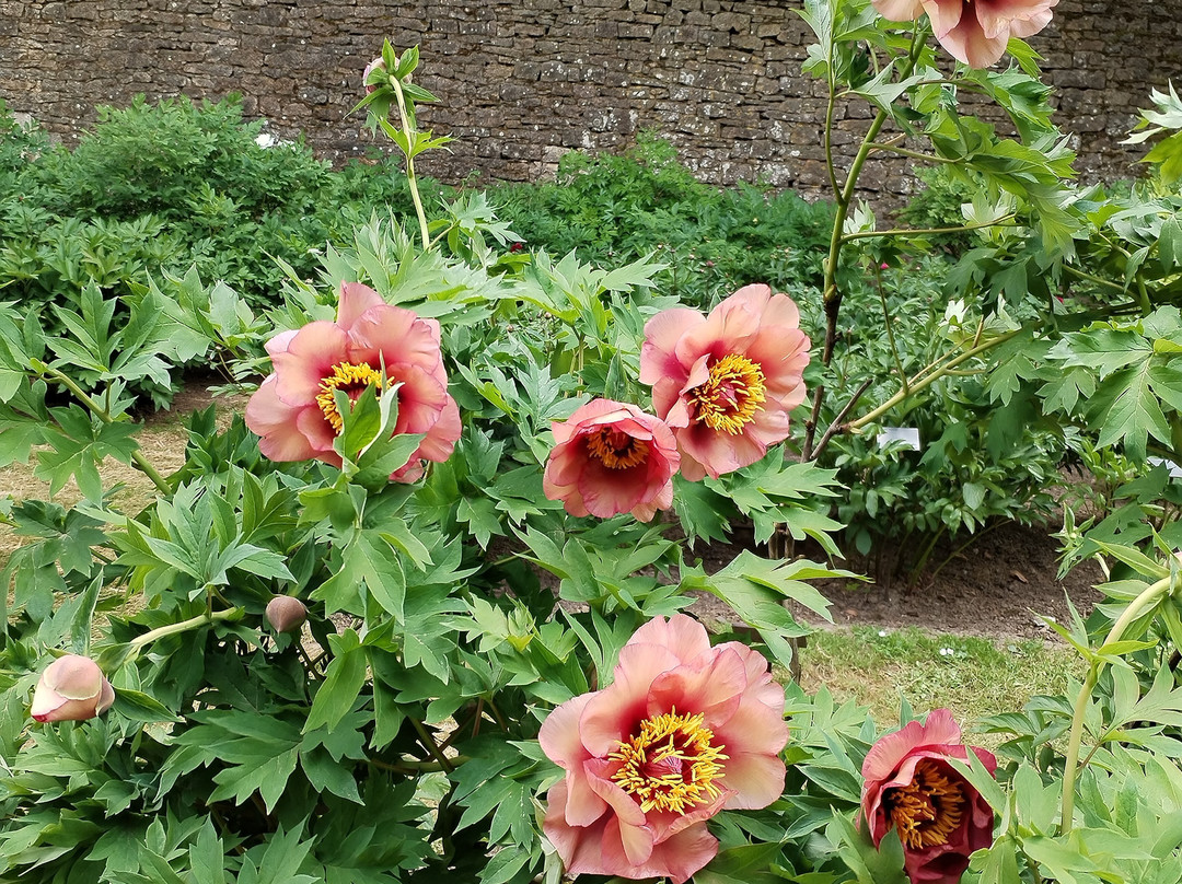 Chateau de Sourches-Saint-Symphorien必去景点