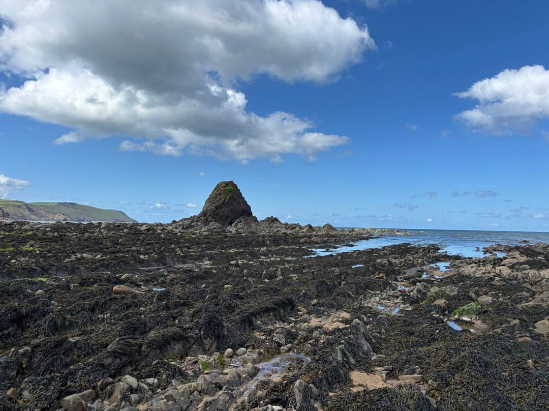Widemouth Bay Beach-Widemouth Bay必去景点